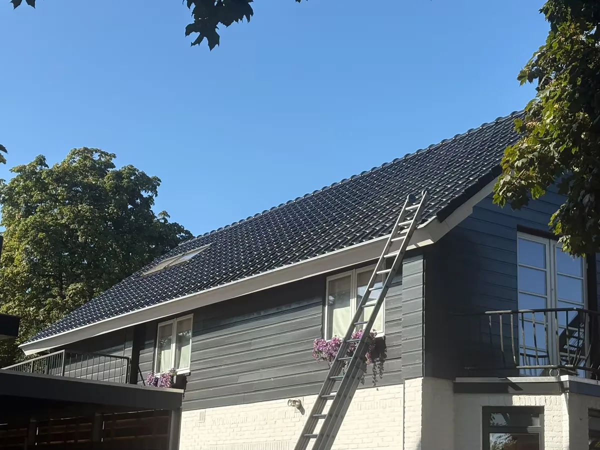 Dakrenovatie en nieuw dak